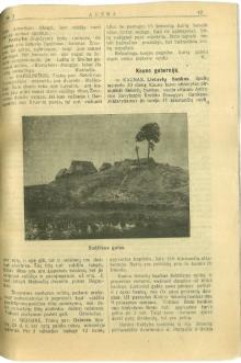Dvisavaitis iliustruotas laikraštis “Aušra”, 1911 m. lapkričio 10 d., Nr. 3
